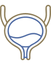 Ícone Fístulas Urogenitais